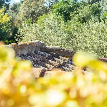 Maison d'hôtes H14 Porto Frailis