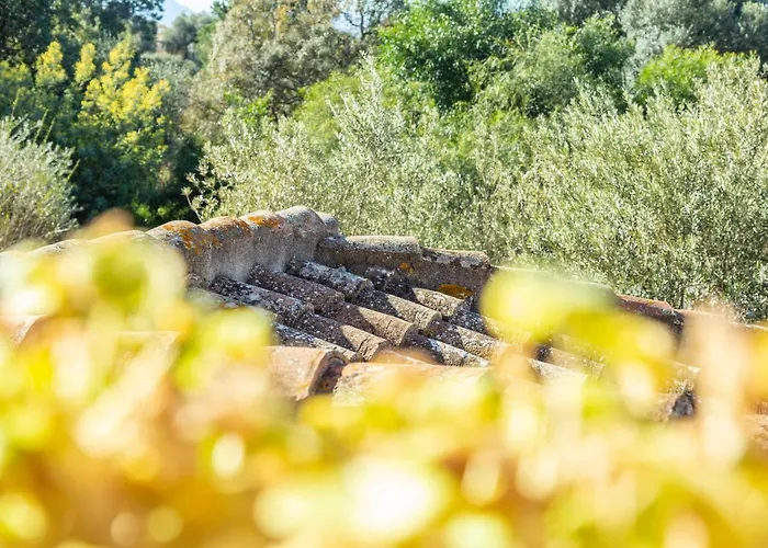Πανσιόν H14 Porto Frailis